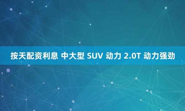 按天配资利息 中大型 SUV 动力 2.0T 动力强劲