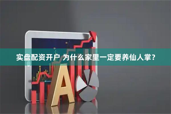 实盘配资开户 为什么家里一定要养仙人掌？